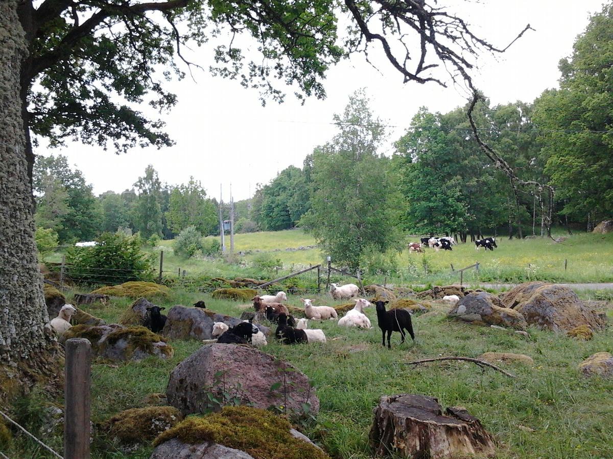 Bitterna Akatorp Villa Eksteriør billede
